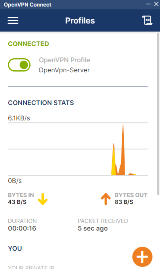 openvpn4